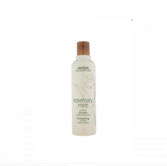 AVEDA Purifying Shampoo Rosmery Mint